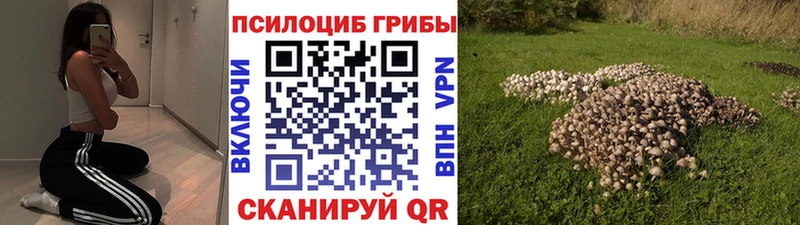 Псилоцибиновые грибы прущие грибы  магазин продажи наркотиков  Спас-Клепики 